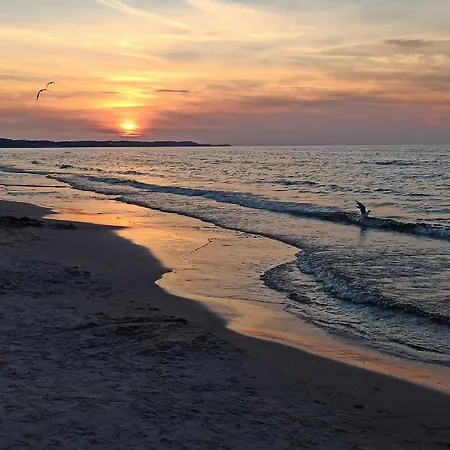 Lividus Park By Lev&sons *